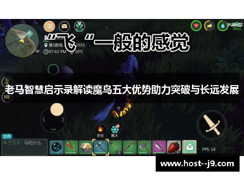 老马智慧启示录解读魔鸟五大优势助力突破与长远发展